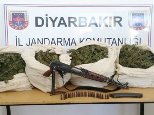 Jandarmadan uyuşturucu operasyonu