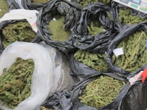 Emniyetten uyuşturucu operasyonu