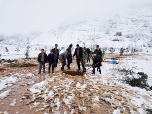 Öğretmen ve öğrenciler fidan dikti