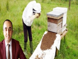 Kulp’ta arıcılık kursu başvuruları başladı