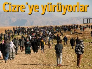 İdil'den 3 bin kişi Cizre'ye yürüyüşe geçti