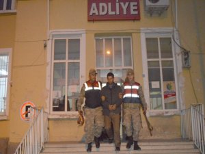 5 ilde eş zamanlı hayvan hırsızlığı operasyonu