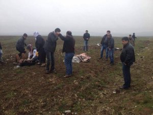 Diyarbakır-Bingöl yolunda kaza