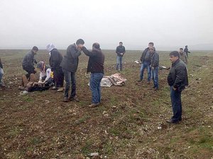 Diyarbakır-Bingöl yolunda kaza