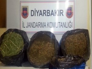 42,5 Kilogram esrar ele geçirildi