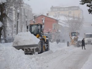Tatvan’da karla mücadele çalışması