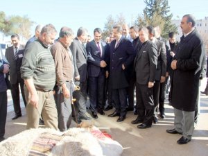 BAKAN ÇELİK; DEVEYİ KESTİRMEDİ, AŞEVİNE BAĞIŞLADI