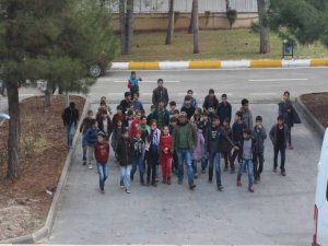 Zarokên Sûrê tera dilê xwe lîstîn