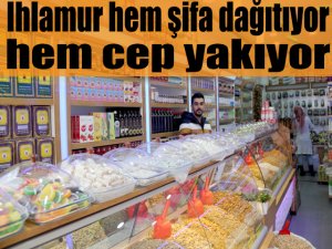 Ihlamur hem şifa dağıtıyor, hem cep yakıyor