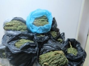 Uyuşturucu ticareti yapanlara baskın: 13 gözaltı