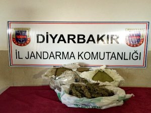 Jandarmadan uyuşturucu operasyonu