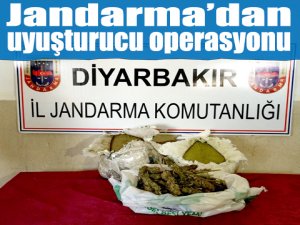 Jandarmadan uyuşturucu operasyonu
