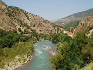 Elewiyên demokrat li hev kom bûn