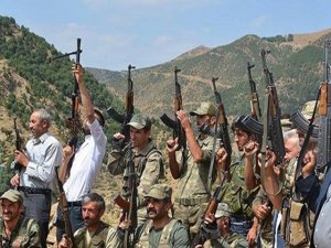 Li Şirnexê, cerdevanek hat kuştin