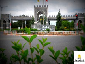 Dicle Üniversitesi'nde 24 akademisyene soruşturma