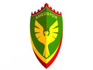 'Amedspor'a ceza aslında Diyarbakır'a ceza'