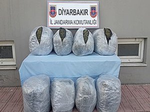 101 kilogram kubar esrar ele geçirildi