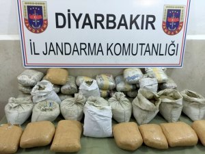 Jandarmadan esrar operasyonu