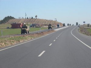 İdil ve Nusaybin’e kirpi sevkiyatı