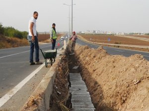 Kamışlo Bulvarında sona gelindi