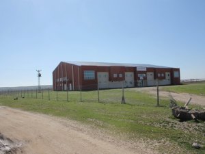 Sabıkalı kişi, çobanı öldürdü