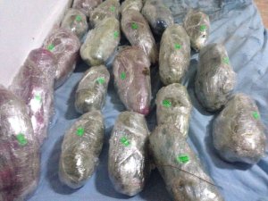 Jandarmadan uyuşturucu operasyonu