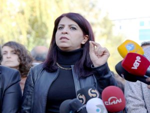 HDP’li Yiğitalp: Devlet Sur’da sivillerin olduğunu biliyor