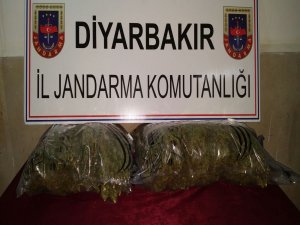 Jandarmadan uyuşturucu operasyonu