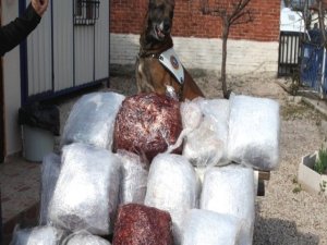 Polisi Karşısında Görünce Ayağını Kırdı