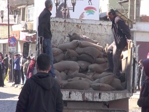 İŞKUR’dan Sur mağdurlarına işkence!