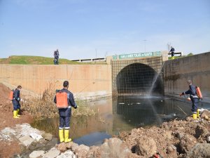 İlaçlama çalışmalarına start verildi