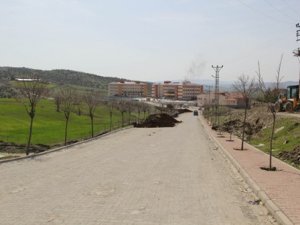 Kulp ilçesi ağaçlarla donatıldı