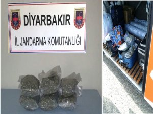 Jandarmadan uyuşturucu operasyonu