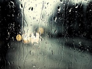 Batman, Hakkari, Muş, Siirt…