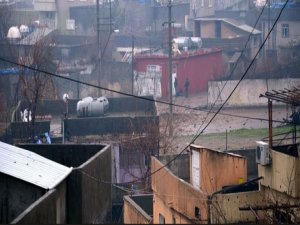 Cizre’de çocukların bulduğu cisim patladı, bir çocuk hayatını kaybetti