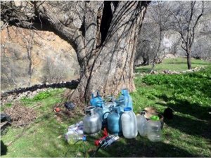 Tunceli’de mühimmat bulundu