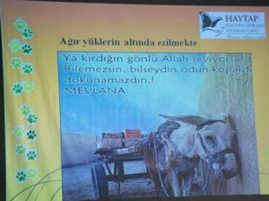 “Savaş etkisiyle birçok hayvan baharın gelişiyle üreme yapamadı “