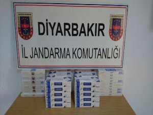 Jandarmadan uyuşturdu ve kaçak sigara operasyonu