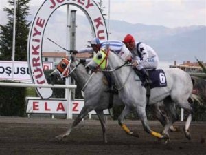 Elazığ Hipodromu'nda yarışlara boykot