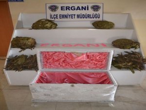 ÇEYİZ SANDIĞINDAN UYUŞTURUCU ÇIKTI