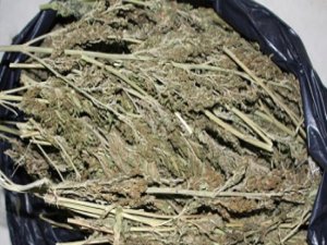 Diyarbakır'da uyuşturucu operasyonu