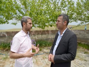 "Ölümler kuşkulu"