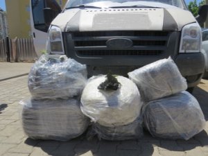 Emniyetten uyuşturucu operasyonu