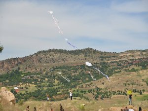 Dicle’de Uçurtma şenliği