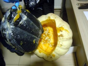 Balkabağından 1.5 kilogram uyuşturucu çıktı