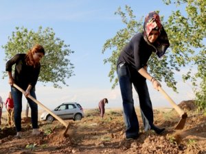 Şiddete uğrayan kadınlar için bostan