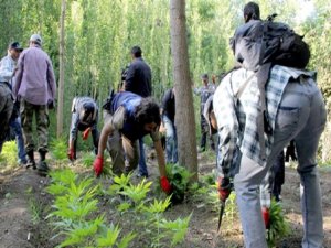 Diyarbakır'da Uyuşturucu Operasyonu
