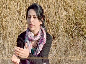 Provokatörler iş başında