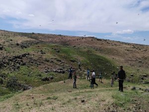 'Keklik gitti, çekirge geldi'