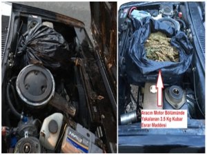 Bu kadarına da pes!